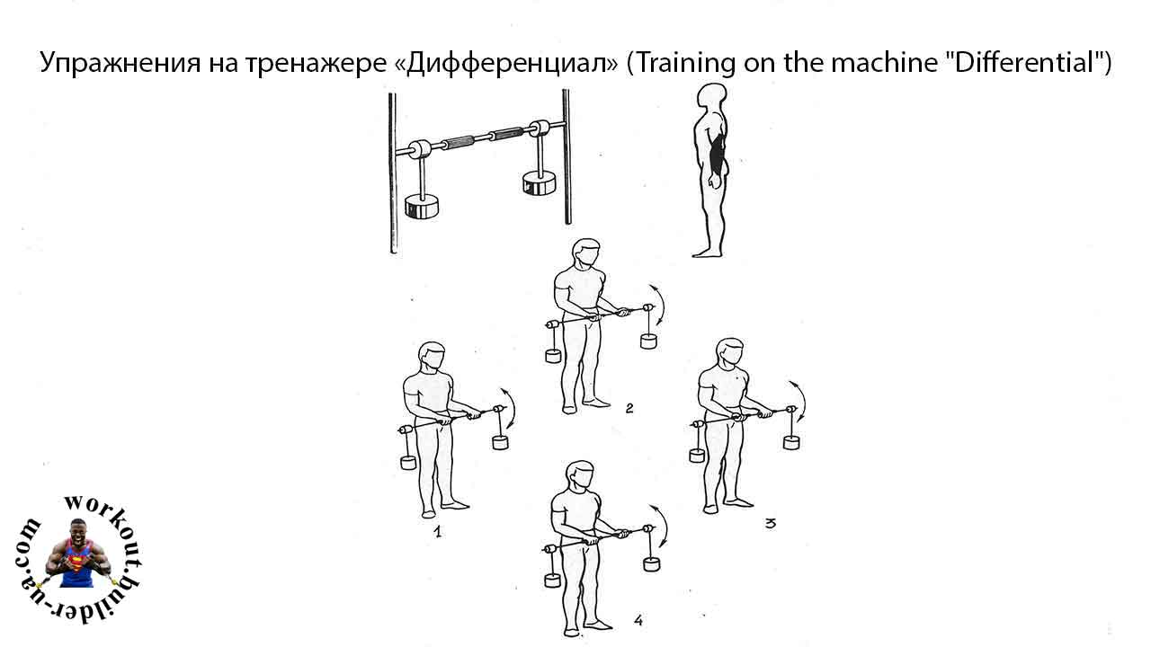 Тренажёр Street Barbell ДИФФЕРЕНЦИАЛ