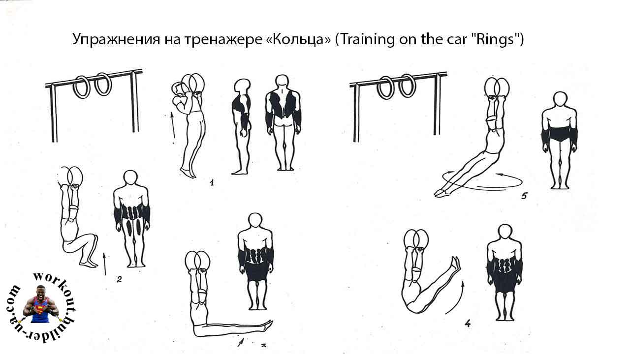 Тренажёр Street Barbell КОЛЬЦА
