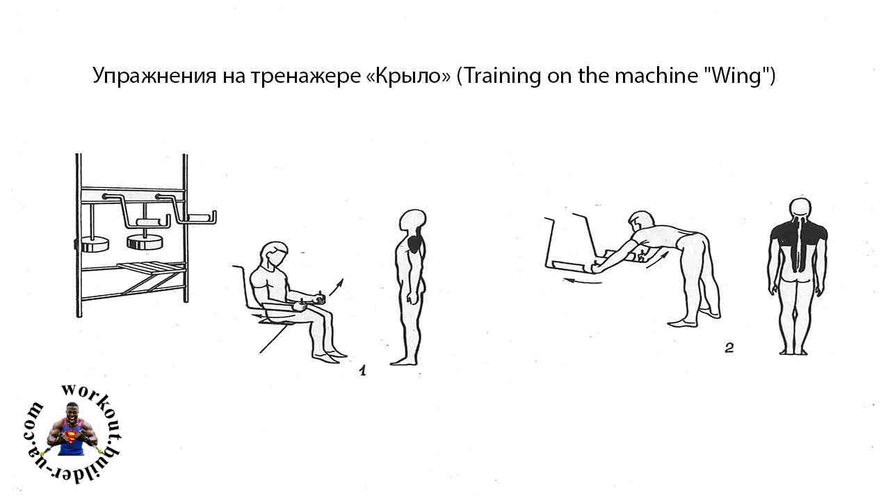 Тренажёр Street Barbell КРЫЛО