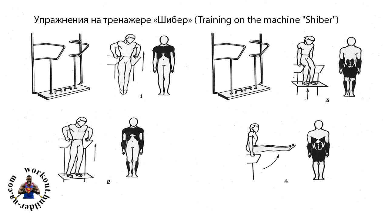 Тренажёр Street Barbell ШИБЕР